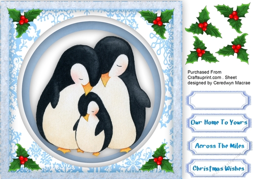 Snowflakes and Penguins 