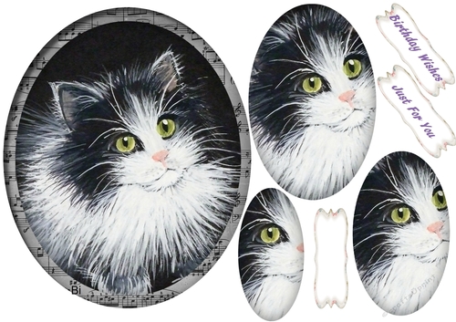 Beautiful Blackand White Kitten topper , Pyramid