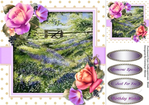 Beautiful Roses in a Lavender Field 
