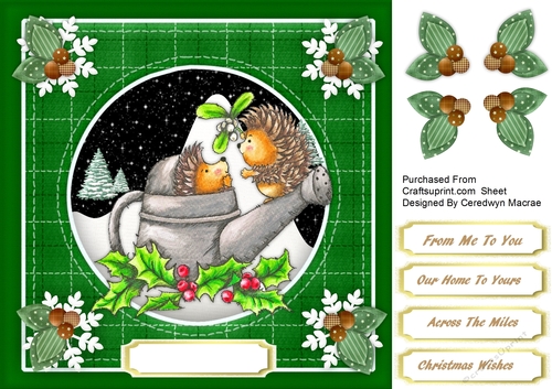 Hedgehog Mistletoe Kiss 