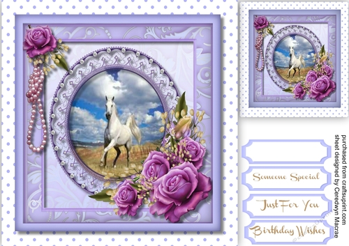 Beautiful White Horseand Rpses 