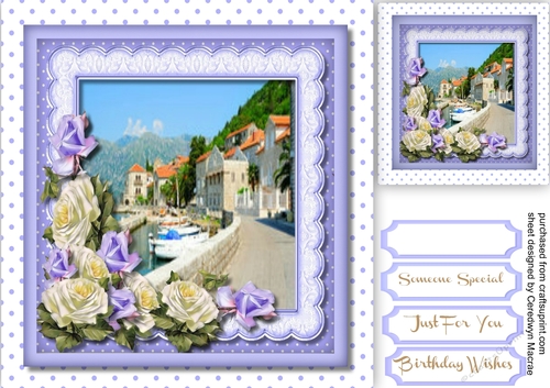 Beautiful Harbour and Roses 