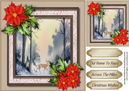 The Morning Mist with Poinsettias
