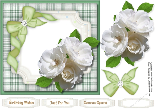 Beautiful White Roses 