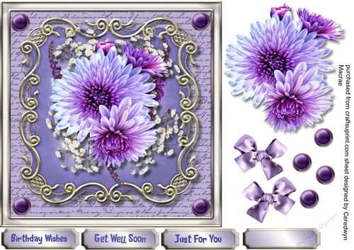 Beautiful Asters on a Ornate Mat