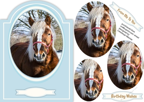 Beautiful Chestnut Horse