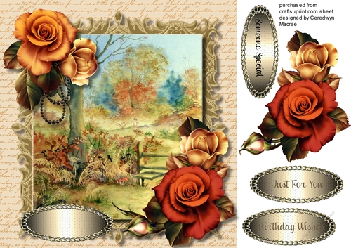 Beautiful Autumn Roses and Scene