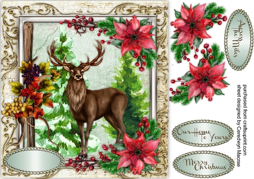 The Majestic Stag 