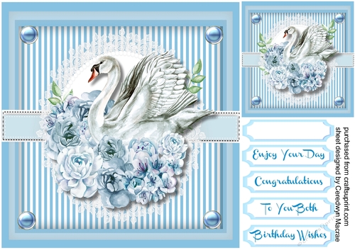 Beautiful Swan and Blue Roses
