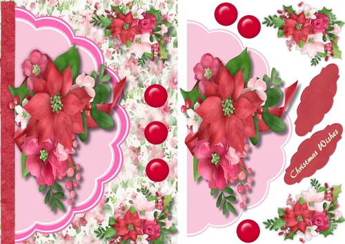 Beautiful Poinsettias on a envelope card   