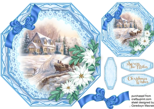 Christmas Scene and Poinsettias