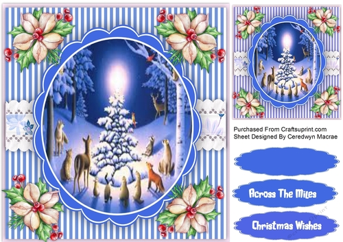 Beautiful Scene with Holly Roses 5