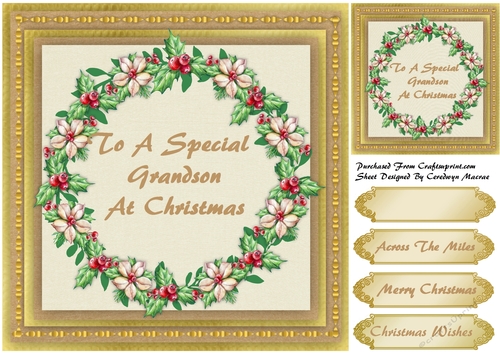 To A Special Grandson At Christmas  9