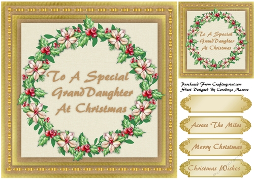 To A Special Granddaughter at Christmas 10