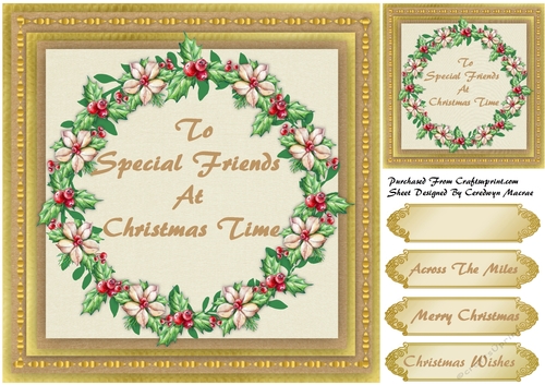To A Special Friends  at Christmas 14