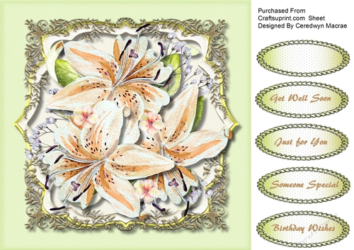 Beautiful Lilys in Ornate Frame 