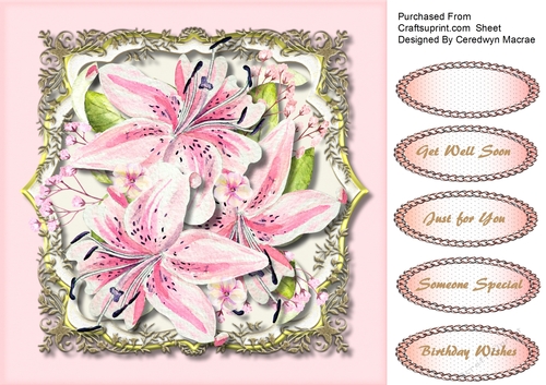 Beautiful Pink  Lilys in Ornate Frame 