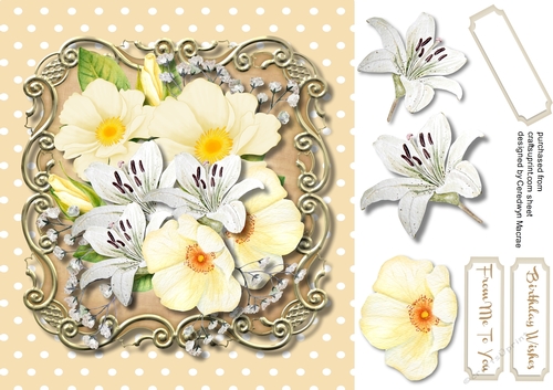 Beautiful Lilys and Roses 1