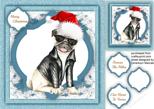 One Cool Dude at Christmas