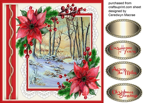 Beautiful Snow Scene With poinsettias