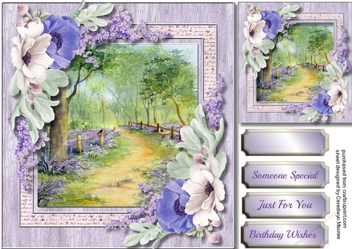 The Bluebell Trail