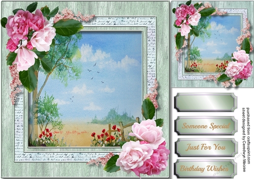 Beautiful Summer Meadow and Roses
