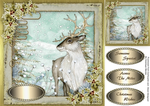 Stunning Stag in the Snow 