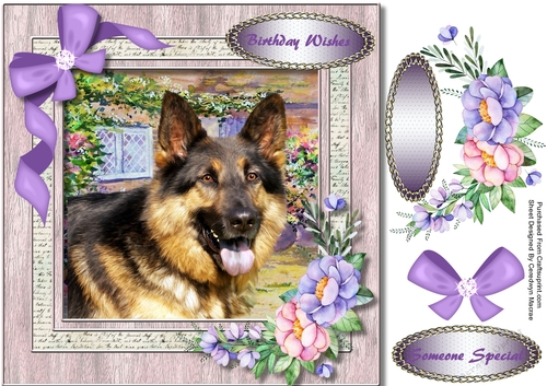 Beautiful Dog in the Garden 