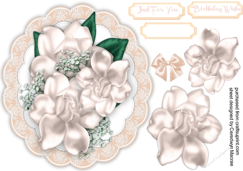 Beautiful Cream Magnolias on a lace mat 1