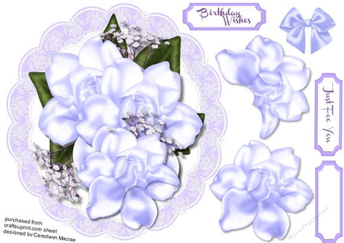 Beautiful Lilac Magnolias on a lace mat 2
