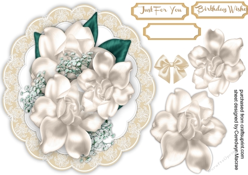 Beautiful White Magnolias on a lace mat  3