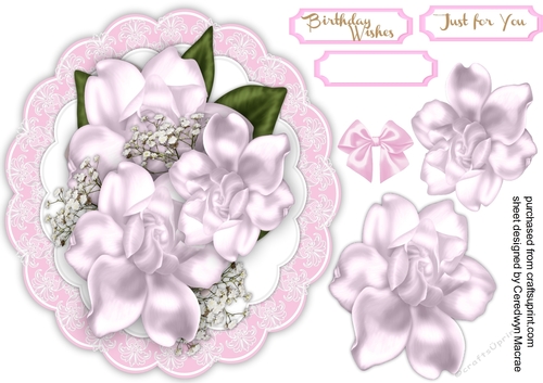 Beautiful Pink Magnolias on a lace mat  4