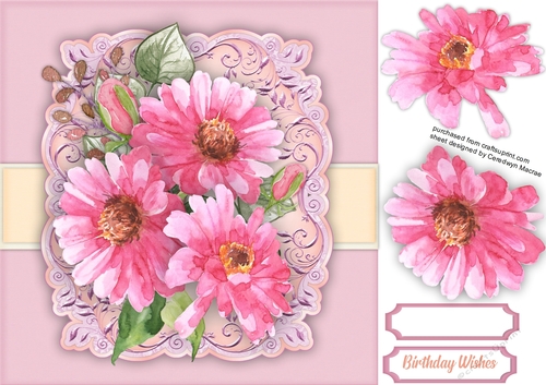Beautiful Daisys on a Soft pink Mat 