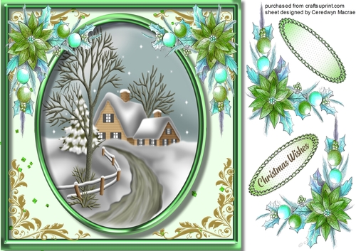 Beautiful Christmas House in a Green frame 