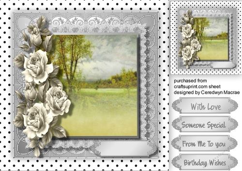 Beautiful White  Roses and Country Scene 