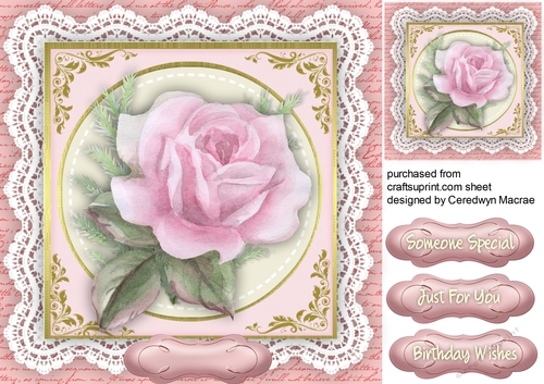 Beautiful Water coloured Rose on a lce frame 