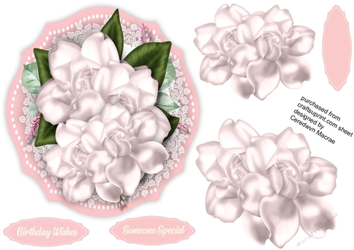 Beautiful Soft Pink gardenias