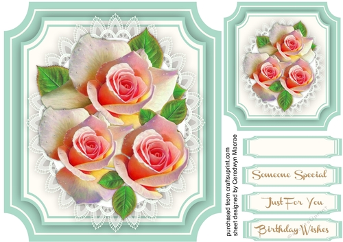 Beautiful Peach Roses on lace 