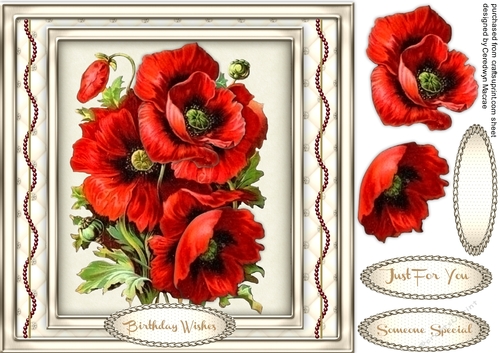 Stunning Red Poppies in a Sepia Frame 