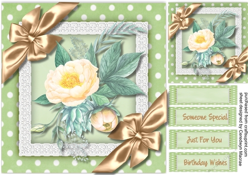Beautiful Cream roses on a lace frame 
