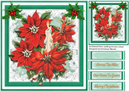 Beautiful Candle and Poinsettias