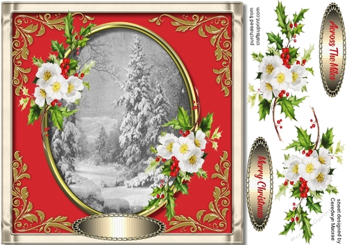 Stunning Scene and Christmas Roses 