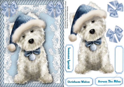 Cute Westie in a Blue Hat 