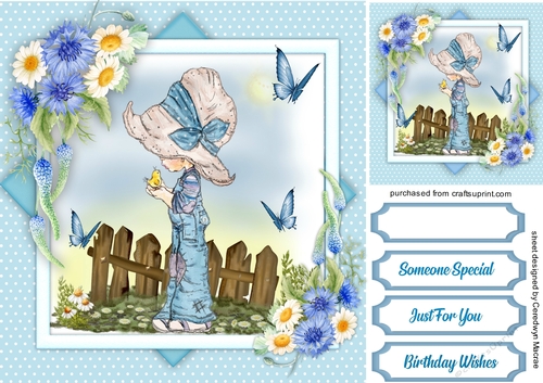 Daisys and Cornflowers