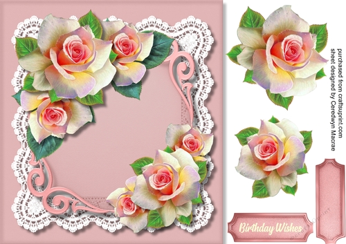 Beautiful Cream and Pink  Roses on a Ornate mat 