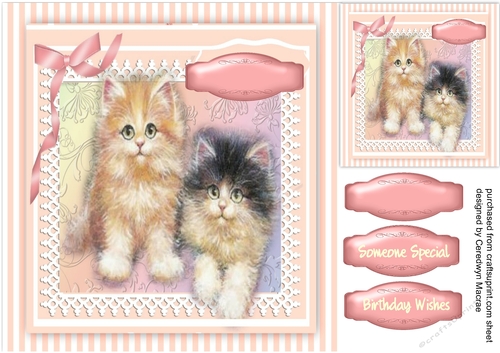 Beautiful Kittens on a Striped Mat