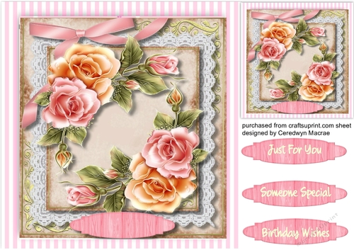 Beautiful Rosey Glo Roses 