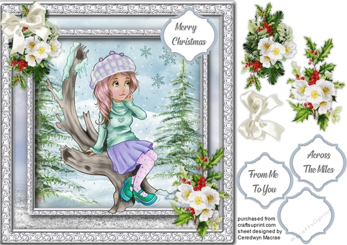 Beautiful Snowflakes and Christmas Roses