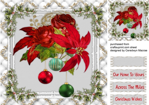 Christmas Roses and Holly 