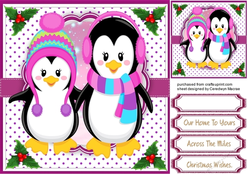Cool penguins in there Pink Outfits 